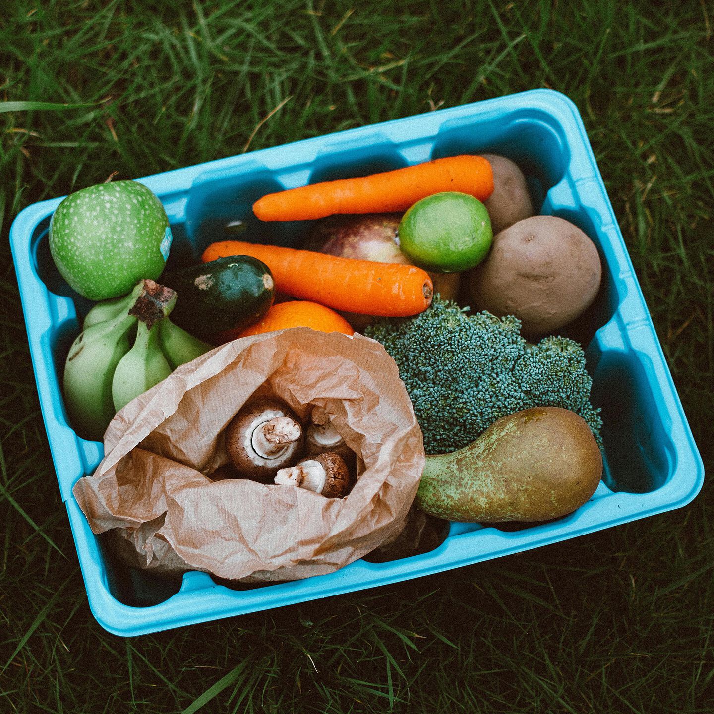 <b>HOW TO ADD MORE FIBRE TO YOUR DOG’S DIET</b><br><br>If you’re keen to boost the amount of fibre in your dog’s food, here are some healthy tips and ideas…</br>